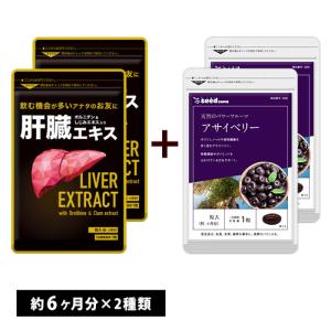 サプリ サプリメント 肝臓エキス　約6ヵ月分　アサイベリー　約6ヵ月分　合計約12ヵ月分