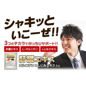 サプリ サプリメント 肝臓エキス オルニチン ...の詳細画像1