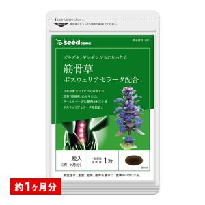 サプリ サプリメント 突然のギシギシやズキッを解消　筋骨草＋ボスウェリアセラータ 約1ヵ月分 ダイエット｜seedcoms