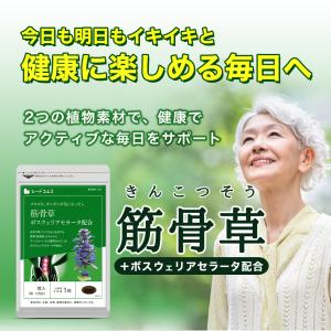 サプリ サプリメント 突然のギシギシやズキッを...の詳細画像1