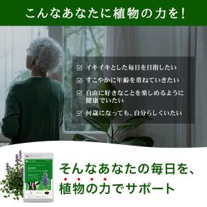 サプリ サプリメント 突然のギシギシやズキッを...の詳細画像2