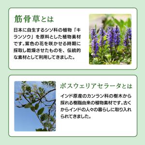 サプリ サプリメント 突然のギシギシやズキッを...の詳細画像3