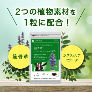 サプリ サプリメント 突然のギシギシやズキッを...の詳細画像4