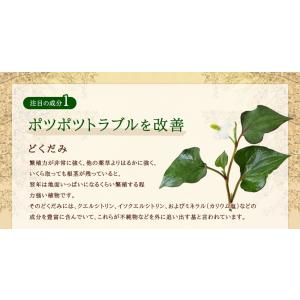 サプリ サプリメント どくだみ&アロエ 約3ヵ...の詳細画像3