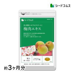 サプリ サプリメント 紀州産南高梅を厳選使用 梅...の商品画像