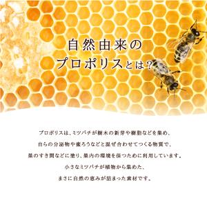プロポリス 約1ヵ月分 サプリ サプリメント 健康の詳細画像2