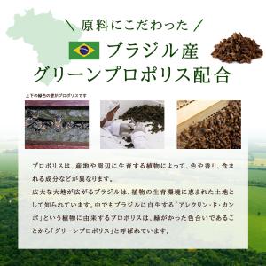 プロポリス 約1ヵ月分 サプリ サプリメント 健康の詳細画像3