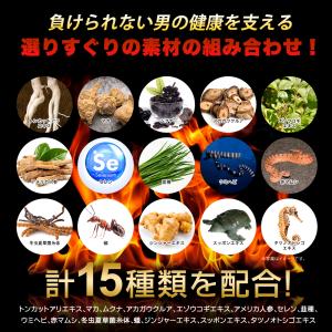 サプリ サプリメント サプリ サプリメント サ...の詳細画像5