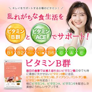 サプリ サプリメント ビタミンB群 アスコルビ...の詳細画像1