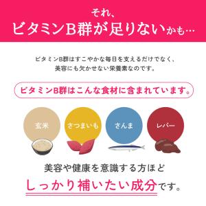 サプリ サプリメント ビタミンB群 アスコルビ...の詳細画像3