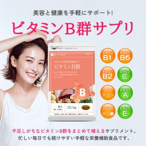 サプリ サプリメント ビタミンB群 アスコルビ...の詳細画像4