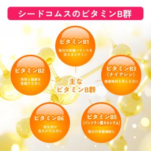 サプリ サプリメント ビタミンB群 アスコルビ...の詳細画像5