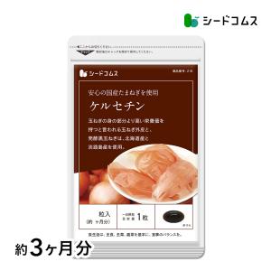 サプリ サプリメント サラサラの流れへ たまねぎケルセチンサプリ 約3ヵ月分 ダイエット｜seedcoms