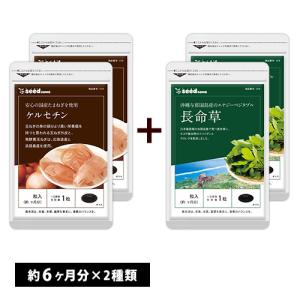 サプリ サプリメント ケルセチン　約6ヵ月分　長命草　約6ヵ月分　合計約12ヵ月分 ダイエット｜seedcoms