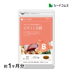 総合ビタミンサプリ ビタミンB群 アスコルビン酸...の商品画像