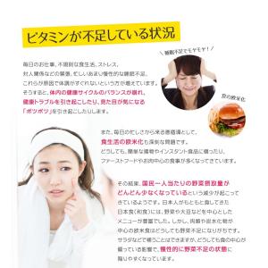 総合ビタミンサプリ ビタミンB群 アスコルビン...の詳細画像2