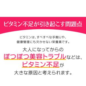 総合ビタミンサプリ ビタミンB群 アスコルビン...の詳細画像3
