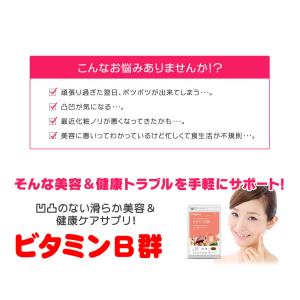 総合ビタミンサプリ ビタミンB群 アスコルビン...の詳細画像4