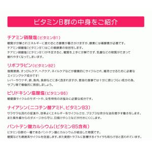 総合ビタミンサプリ ビタミンB群 アスコルビン...の詳細画像5