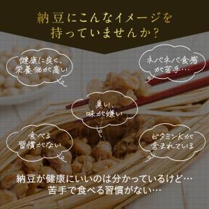 サプリ サプリメント 納豆キナーゼ 約1ヵ月分...の詳細画像2