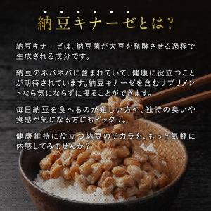 サプリ サプリメント 納豆キナーゼ 約1ヵ月分...の詳細画像4