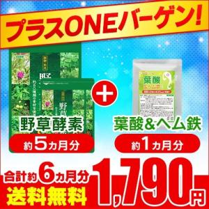サプリ サプリメント 生酵素 プラスONEセール 野草酵素 約5ヵ月分　葉酸＆ヘム鉄 約1ヵ月分 ダイエット