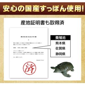 サプリ サプリメント サプリ サプリメント 黒...の詳細画像3