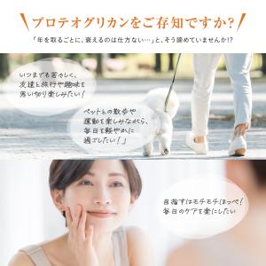 サプリ サプリメント プロテオグリカン 約3ヵ...の詳細画像3
