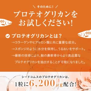 サプリ サプリメント プロテオグリカン 約3ヵ...の詳細画像4