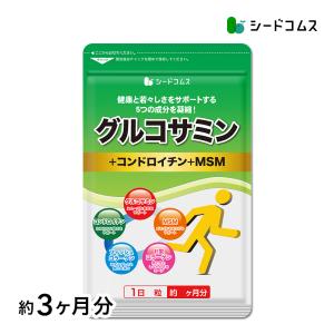 サプリ サプリメント 含有量34％増量してパワーアップ　2型コラーゲン配合グルコサミン コンドロイチン MSM 約3ヵ月分 グルコサミン｜seedcoms