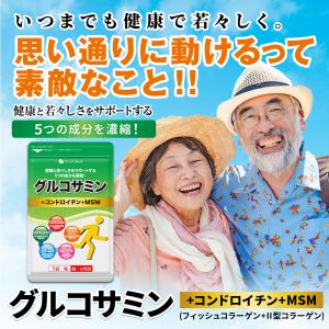 サプリ サプリメント 2型コラーゲン配合グルコ...の詳細画像1