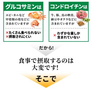 サプリ サプリメント 2型コラーゲン配合グルコ...の詳細画像4