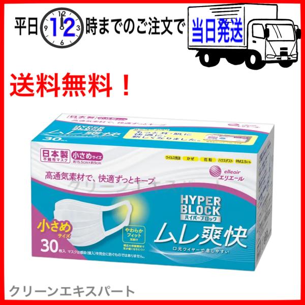 エリエール ハイパーブロックマスク ムレ爽快 １箱 小さめサイズ 30枚入 大王製紙 ムレ爽快マスク