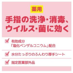 【ケース販売】エリエール 薬用消毒できるアルコ...の詳細画像1