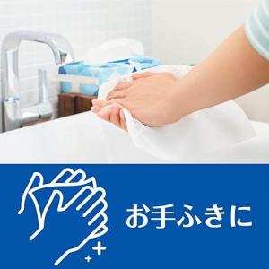 【ケース販売】エリエール Plus+キレイ ペ...の詳細画像3