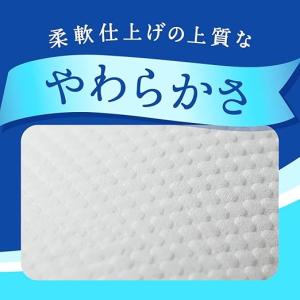 【ケース販売】エリエール トイレットティッシュ...の詳細画像1