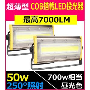 2台セット LED投光器 50w 屋外用 集魚灯  LED 投光器 スイッチ付き 防水 作業灯 看板灯 駐車場