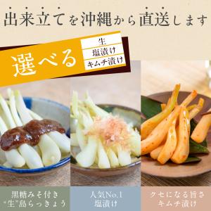 生 塩漬け キムチ漬けの3種類から選べる 島ら...の詳細画像1
