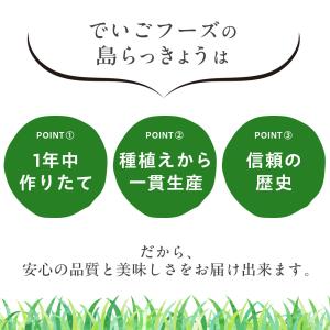 生 塩漬け キムチ漬けの3種類から選べる 島ら...の詳細画像4