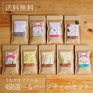 宮古島 お土産 うむやすファーム 9種類から4袋選べるハーブティーセット ノンカフェイン 沖縄 自然...