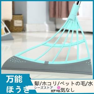 ほうき 箒 ブラシ 取り外し ホコリブラシ 掃除用品 掃除道具 PP TPR 玄関タイル用 窓 ほこり 超軽量 収納便利