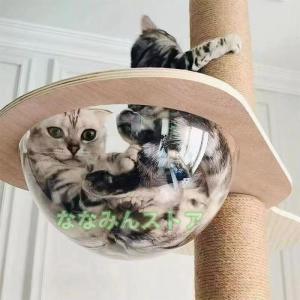 キャットタワー 宇宙船 キャットウォーク キャットステップ キャットカプセル 猫用 透明 カプセル型