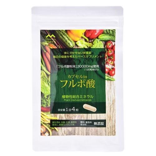 カプセルinフルボ酸 120粒 ライフバランス ミネラル フルボ酸 サプリ 食品 カプセル in フ...