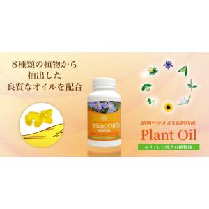 プラントオイル Plant Oil 180粒 ...の詳細画像1