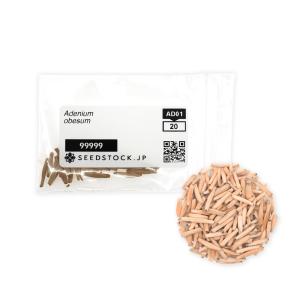 [種子] アデニウム オベスム Adenium...の詳細画像3