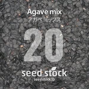 [種子] アガベ ミックス Agave Mix 20粒｜多肉植物 初心者向け 人気