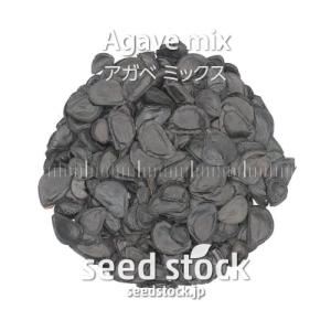 [種子] アガベ ミックス Agave Mix...の詳細画像1