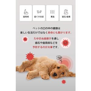 1本 ジャユペット 犬猫用デンタルケア ブラシ...の詳細画像2