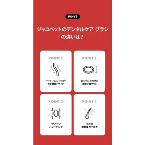1本 ジャユペット 犬猫用デンタルケア ブラシ...の詳細画像4