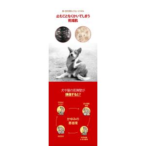 Red Honey Balm 1個 ジャユペッ...の詳細画像2